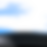 The blending of forms creates a transparent delicate gradient png
