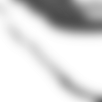Fluid transitions shape forms into a soft transparent gradient png