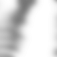 Fluid transitions blur forms into a transparent delicate gradient png