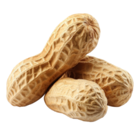 Natural unshelled peanuts on white surface isolated transparent png