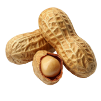 Peanuts in their shells on a white background isolated transparent png