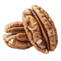 Pecans in shells on simple background isolated transparent png