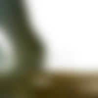 Soft transitions blur forms into a transparent subtle gradient png