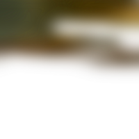 Shapes dissolve smoothly into a transparent fluid gradient png