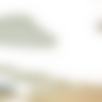 Fluid transitions shape forms into a transparent seamless gradient png