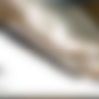 Soft transitions merge shapes into a seamless fluid gradient png