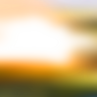 The transitions blur forms into a transparent fluid gradient png