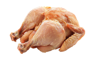 Whole raw chicken with wings, drumsticks isolated transparent png