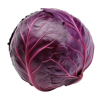 Fresh red cabbage with vibrant leaves on display isolated transparent png
