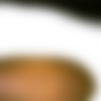 Shapes softly transition into a continuous transparent gradient through gradual blending png