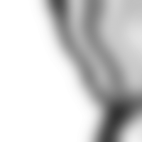 Gradual blending forms a seamless transparent gradient from merging shapes png