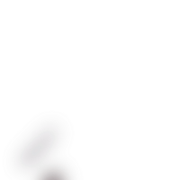 Forms dissolve softly into a transparent fluid gradient png