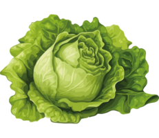 A green cabbage is shown on a black background png