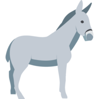 A donkey is standing in front of a black background png