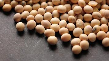 Soybean beans, closeup of soy bean video
