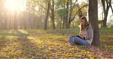 Adult woman sitting under tree reading a book in autumn park video