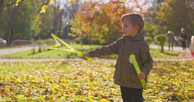 Young Boy Playing with Bubbles in Autumn Park video