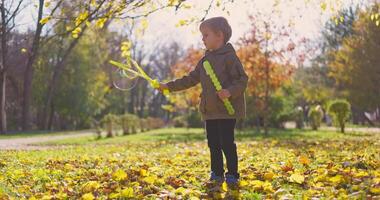 Young Boy Playing with Bubbles in Autumn Park video