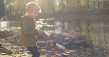 Two Boys Enjoying Feeding Ducks Together video