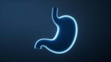 Loop animation of transparent blue stomach, 3d rendering. video