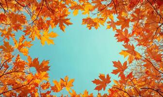 Frame made of branches with maple leaves, autumn background concept with copy space photo