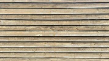 Wood pattern in light color background texture. photo