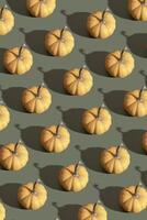 Orange pumpkin pattern on green background. Moderm vertical backdrop for fall, thanksgiving day photo