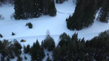 Top view of snowmobile riding in winter forest. Clip. Snowmobile with headlight rides in evening in forest in winter. Snowmobile ride in forest on cloudy winter day video