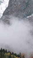 Fog quickly descends into the gorge. Creative. Beautiful mountain scenery in clouds, timelapse effect. video