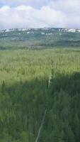Top view on dense green forest and mountain with snow at peak. Clip. Dense forests on mountainside with snow-capped top against cloudy sky video