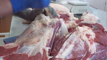 Close-up of butcher cutting meat. Clip. Cutting meat carcass in store. Slicing large piece of meat in grocery store video