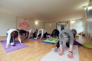 A group of senior women engage in various yoga exercises, including neck, back, and leg stretches, under the guidance of a trainer in a sunlit space, promoting well-being and harmony photo