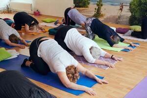 A group of senior women engage in various yoga exercises, including neck, back, and leg stretches, under the guidance of a trainer in a sunlit space, promoting well-being and harmony photo