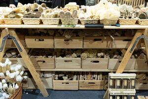 a large assortment of handmade natural bristle brushes photo