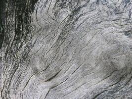 Scoured driftwood surfaces for textured backgrounds. photo
