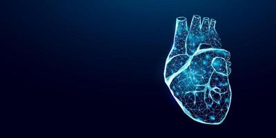 Human heart wireframe. World heart day concept. Banner template glowing low poly. Futuristic modern abstract. vector
