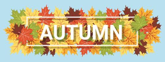 Modern Trendy Template Autumn horizontal Banner Page. Concept Design with Colorful Maple leaves. Poster for website, email header, post in social networks, advertising, events and page cover. vector