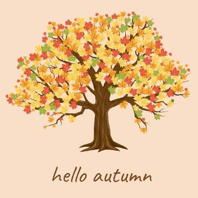 Modern Cute Hello Autumn Card Template with Maple Tree. Trendy Poster Suitable for poster, business card, invitation, flyer, banner, brochure, email header, post in social, website, print. .