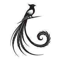 A black and white bird with long tail vector