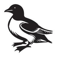 A black and white drawing of a bird vector