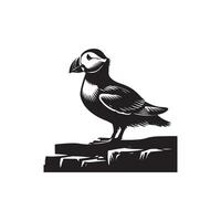 A puffin bird is standing on a rock vector