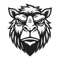 An angry head of a camel on a white background vector