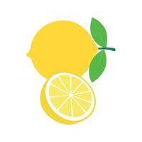 A lemon and a half of a lemon vector