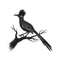A black and white illustration of a roadrunner vector