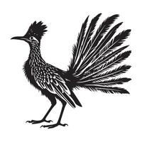 A black and white illustration of a roadrunner vector