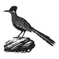 A black and white drawing of a roadrunner vector