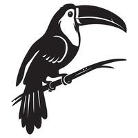 Toucan bird on a branch illustration vector