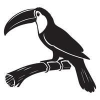 Toucan bird on a branch illustration vector