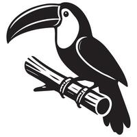Toucan bird on a branch vector