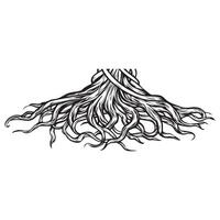 A drawing of a tree with roots vector